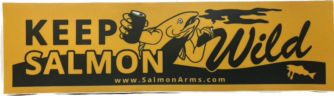 Salmon Arms Keep Salmon Wild Snowboard Bumper Sticker 11"X 3"- Yellow