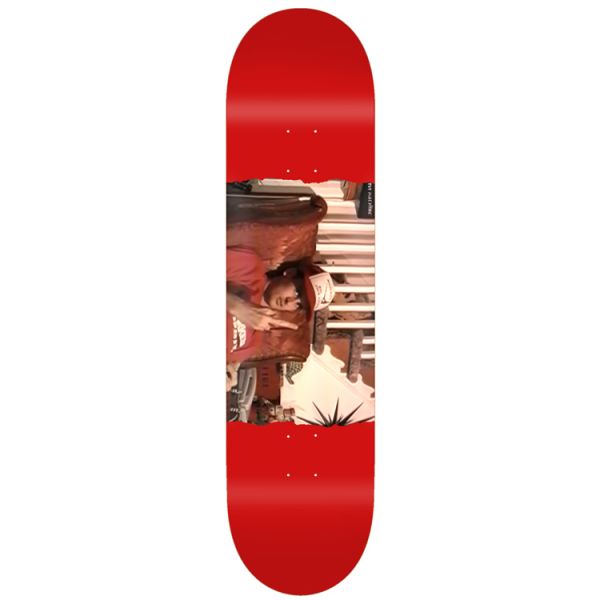 Toy Machine Ed Templeton Flip 8.50